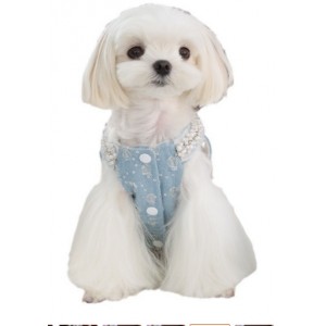 宠物小型犬牛仔背心